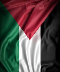 Pakistan’s Unwavering Voice for Palestine